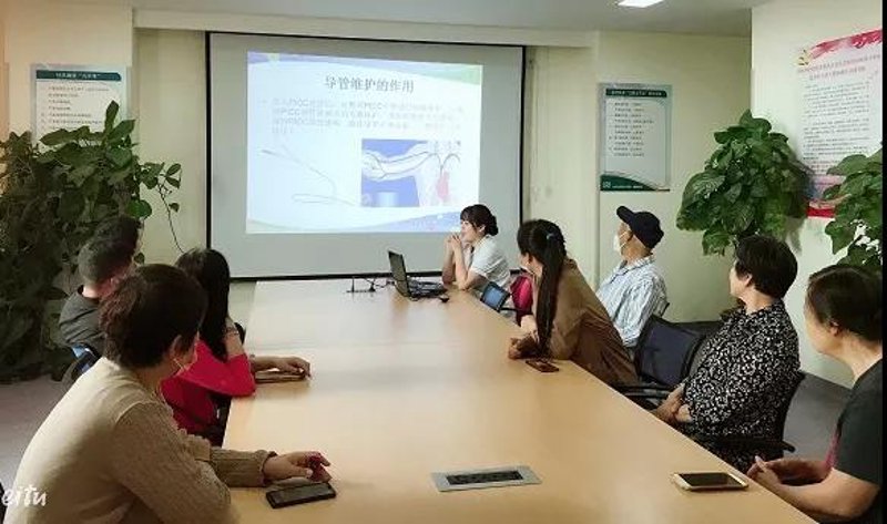 站群系统在电商行业中的崛起与革新